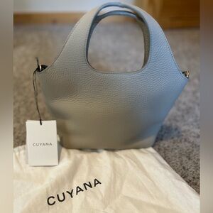 Cuyana Mini System Tote, stone color NWT